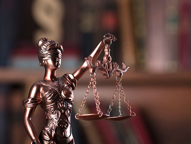Litigation & Trial Lawyer